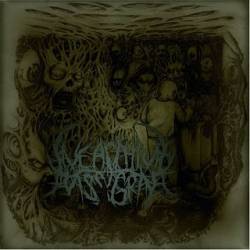 Unearthing Mass Grave